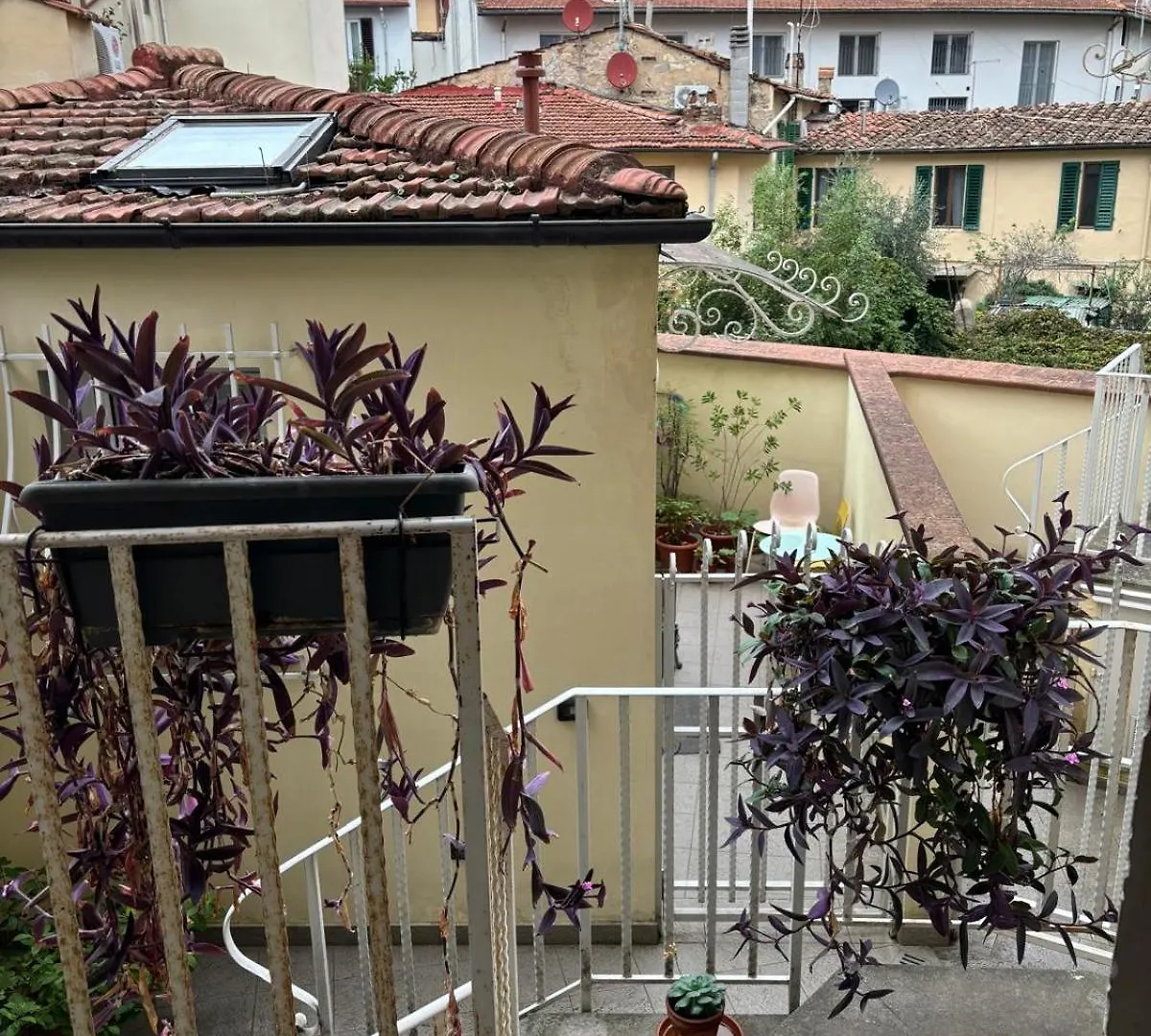 Sam'S Central & Cosy Studio Apartment By The Old Town Florence 0*,  Italy